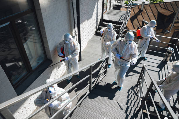 Professional Mold Removal in Lake Waccamaw, NC