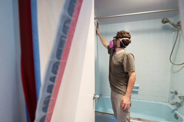Best Black Mold Removal  in Lake Waccamaw, NC