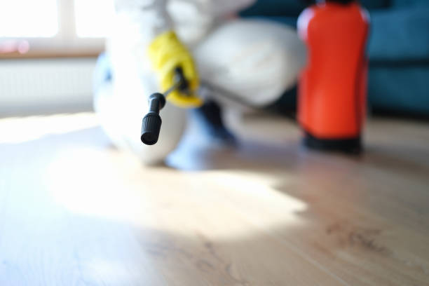 Best Emergency Mold Remediation  in Lake Waccamaw, NC
