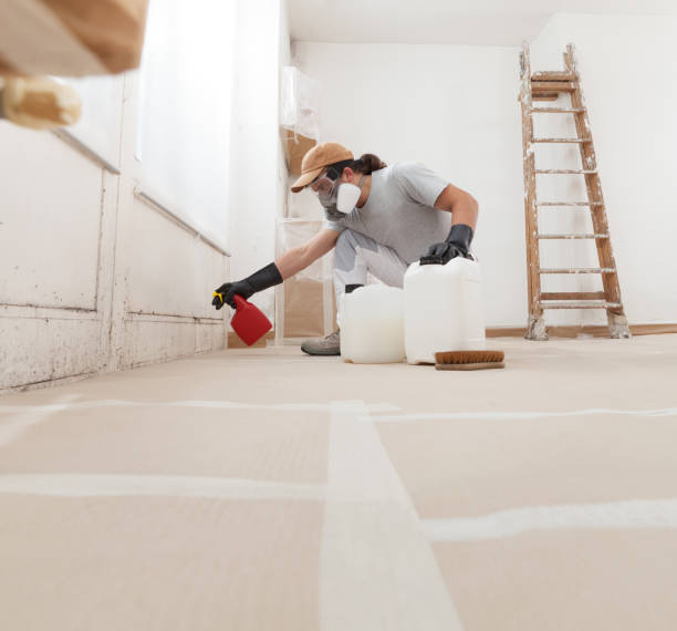 Best Mold Prevention Services  in Lake Waccamaw, NC