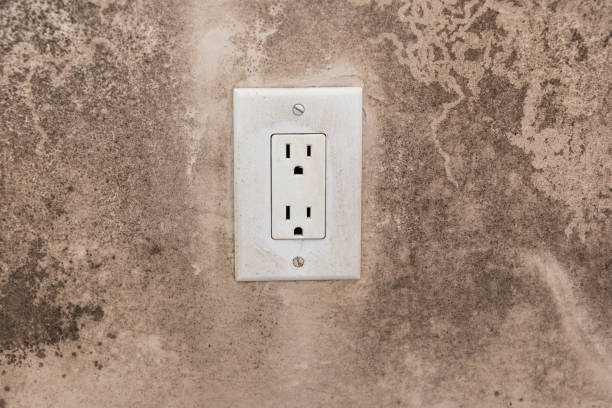 Best Forensic Mold Investigation  in Lake Waccamaw, NC