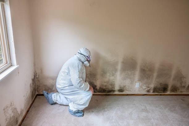 Best Industrial Mold Remediation  in Lake Waccamaw, NC